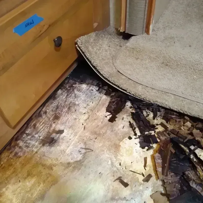 Wood Floor Water Damage in Nyssa, OR